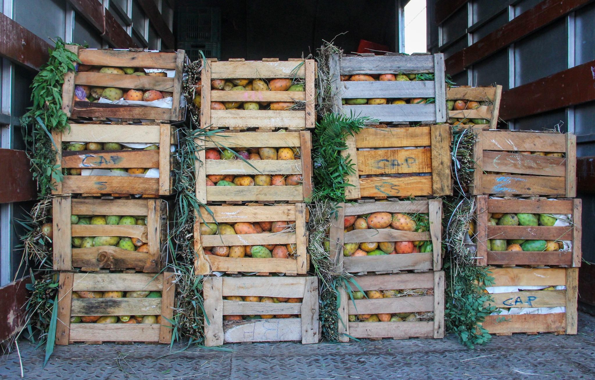 Transporte de materia prima